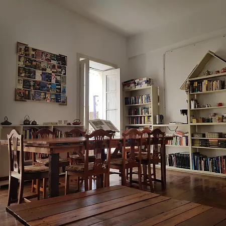 Ratones De Biblioteca