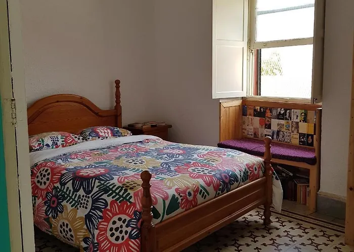 Ratones De Biblioteca