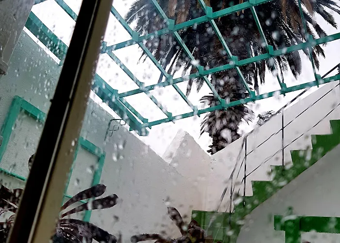 Vendégház Ratones De Biblioteca La Laguna