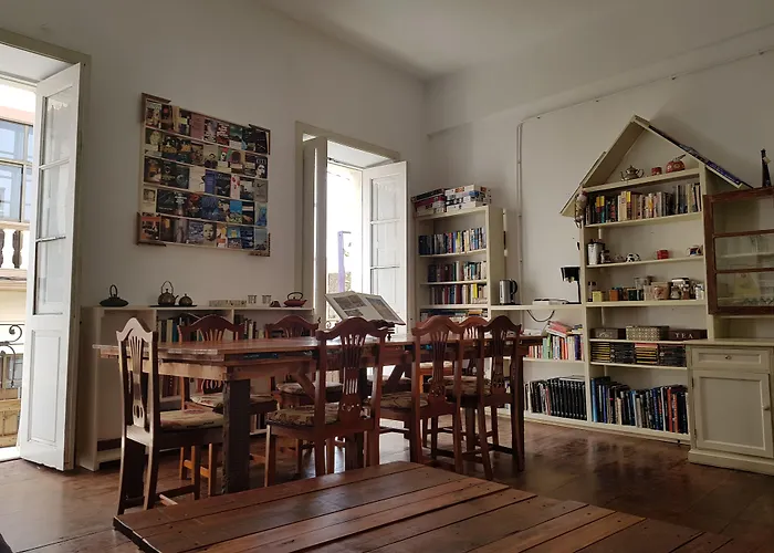 Ratones De Biblioteca