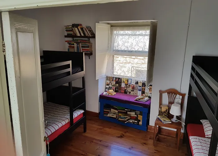 Ratones De Biblioteca La Laguna