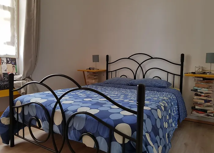 Ratones De Biblioteca La Laguna