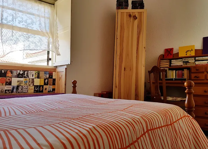 Ratones De Biblioteca 2* La Laguna