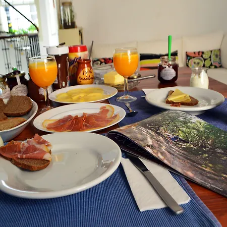 Ratones De Biblioteca 2*