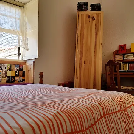 Ratones De Biblioteca 2* לה לגונה