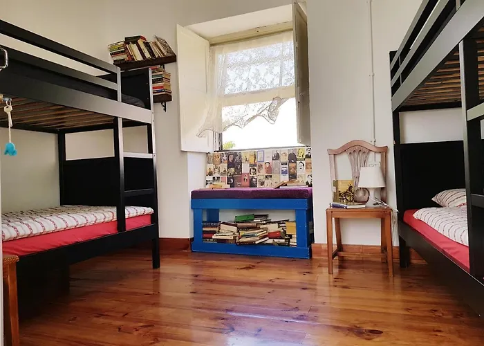 Ratones De Biblioteca Guest house La Laguna (Tenerife)