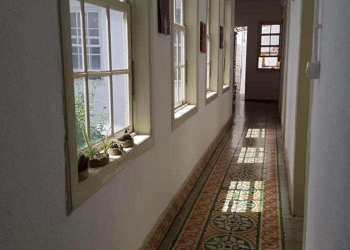 Gæstehus Ratones De Biblioteca La Laguna (Tenerife)