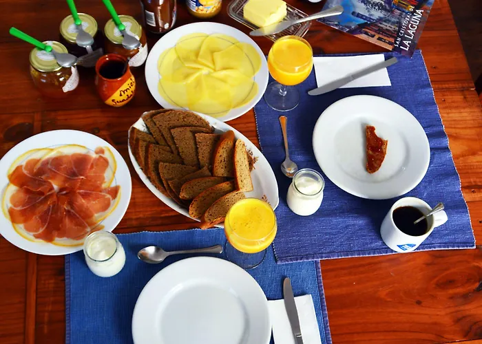 Ratones De Biblioteca Gæstehus