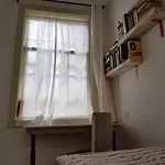 Ratones De Biblioteca لا لاغونا