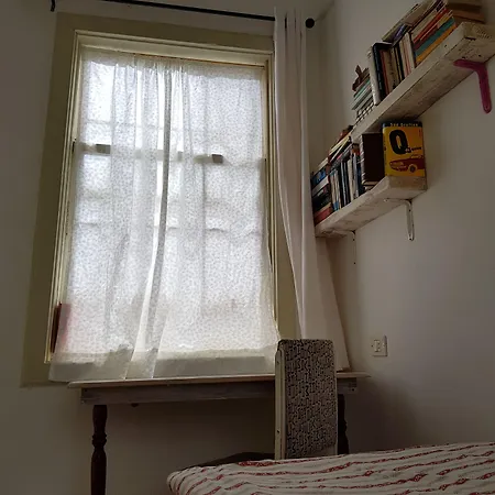 Ratones De Biblioteca La Laguna (Tenerife)