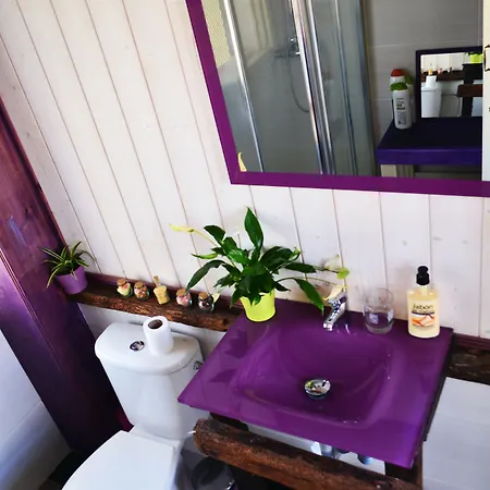 Penzion Ratones De Biblioteca