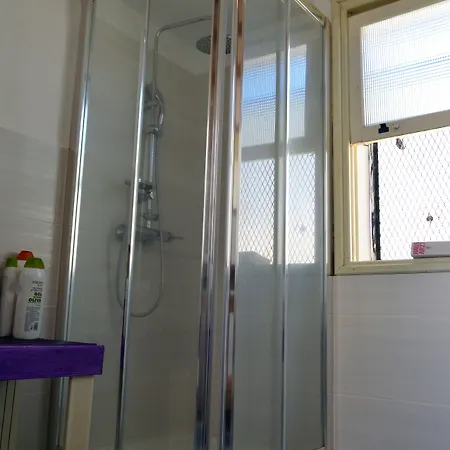 Ratones De Biblioteca Penzion