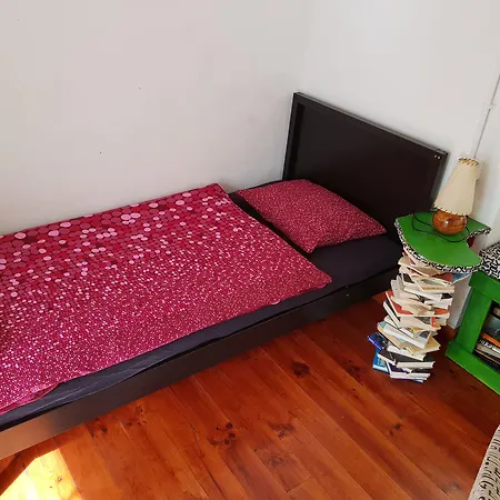 Ratones De Biblioteca