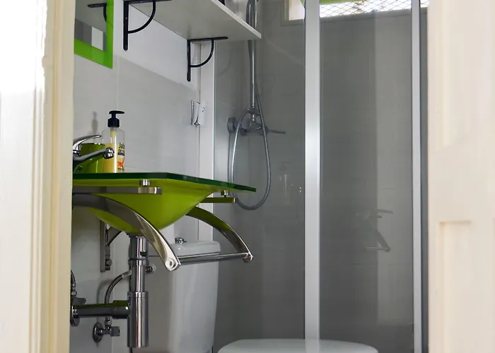 Ratones De Biblioteca