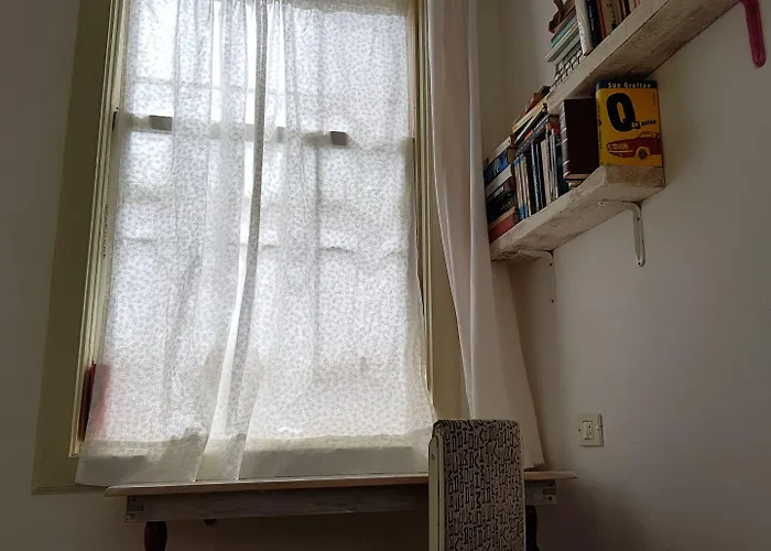 Ratones De Biblioteca La Laguna (Tenerife)