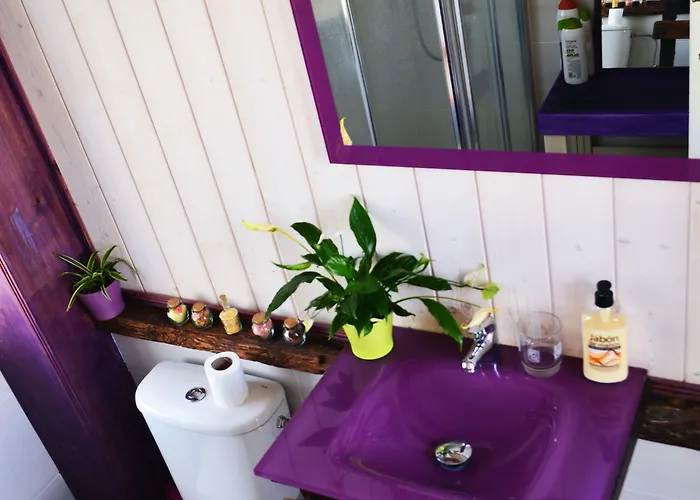 Affittacamere Ratones De Biblioteca