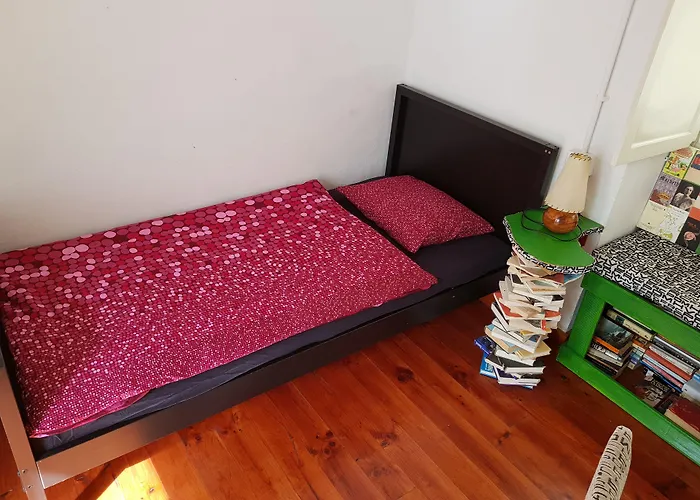 Ratones De Biblioteca