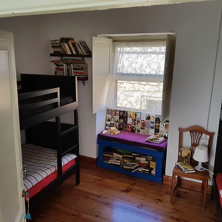 Ratones De Biblioteca 라 라구나