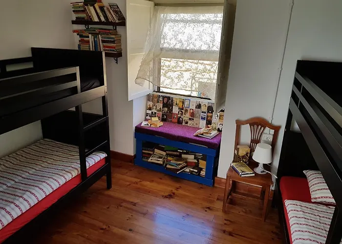 Ratones De Biblioteca 2* 라 라구나