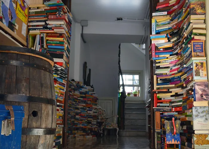 게스트하우스 Ratones De Biblioteca 2*